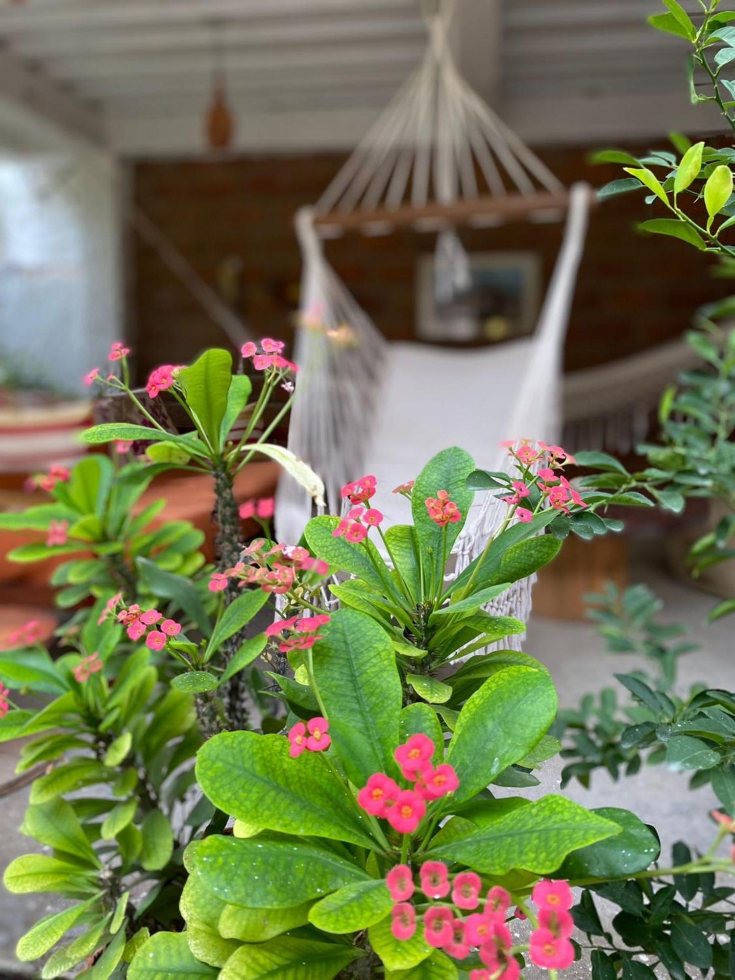 Casa Tara Hotel Taganga Ngoại thất bức ảnh